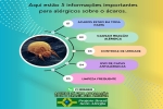 Aqui estão 5 informações importantes para alérgicos sobre o ácaros