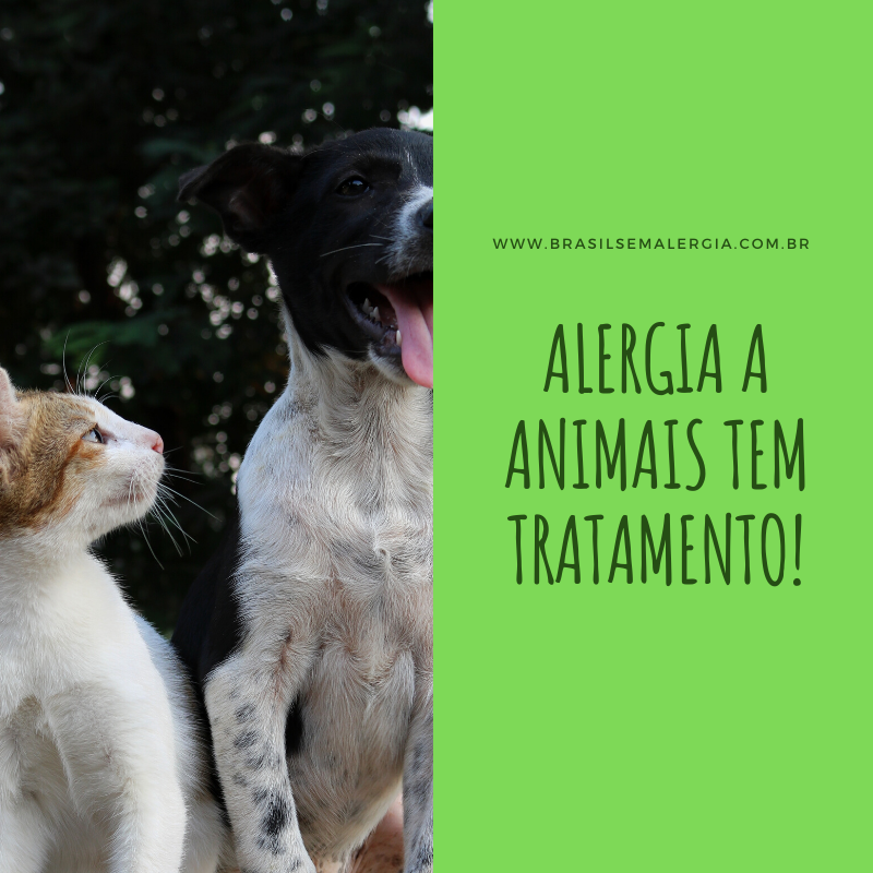 78755690 1372647806239419 7679277688455954432 n