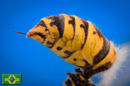 AdobeStock 122786659