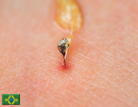 AdobeStock 159517685