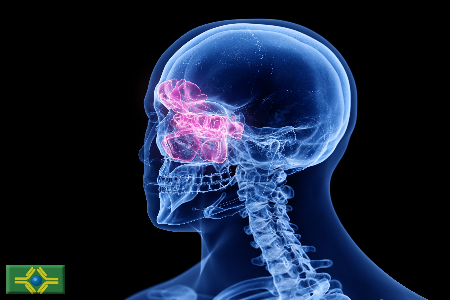 AdobeStock 282278661