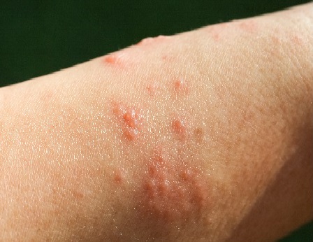 AdobeStock 290444491