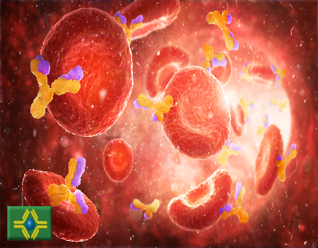 AdobeStock 291684715